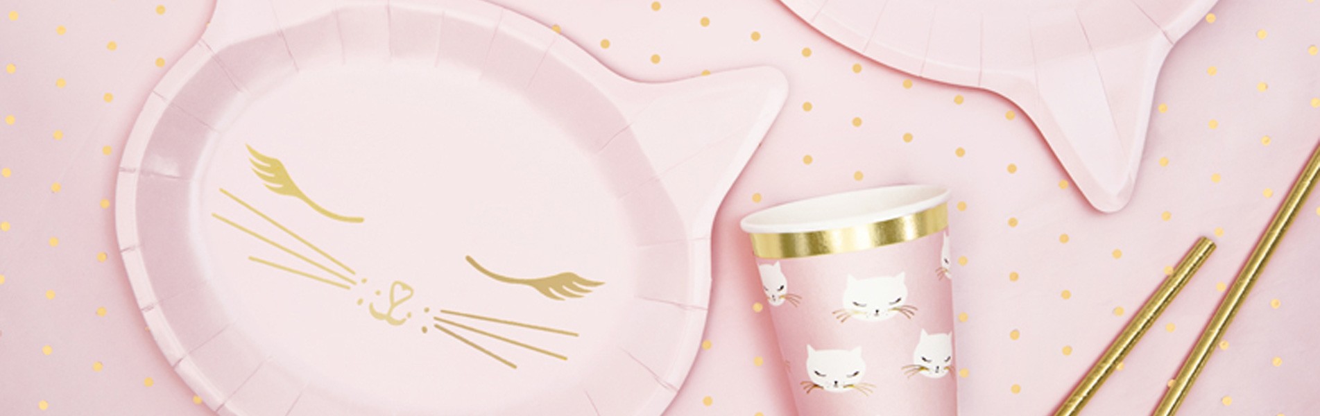 header_img_categ