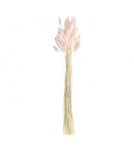 Pink Bunny Tails