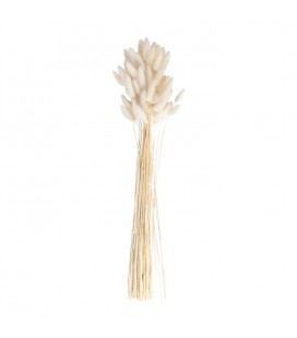 Cream Bunny Tails