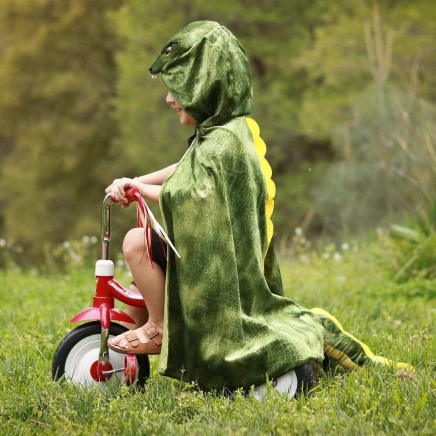 T-Rex Cape 4-5 years