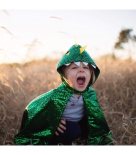 Cape Dragon Vert 2-3 ans