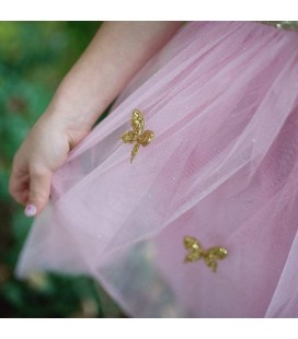 Gold Butterfly Dress & Wings 5-7 years