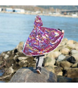 Cape Dragon Chevalier Multi/Argent 5-6 ans