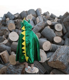 Cape Réversible Dragon Chevalier Vert/Argent 5-6 ans