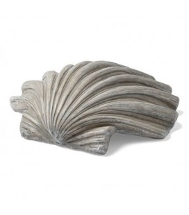1 Grey Shell