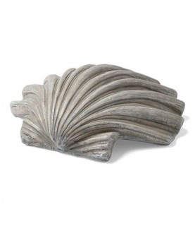 1 Grey Shell