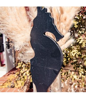 1 Seahorse Slate