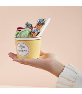 Ice Cream Set with Spoons Miss Etoile