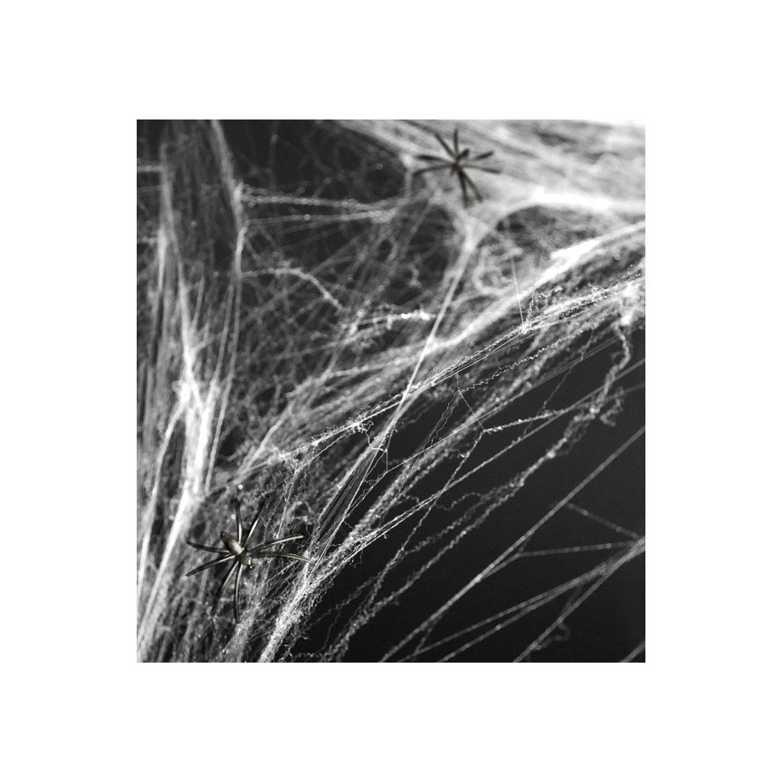White Halloween Spider Web