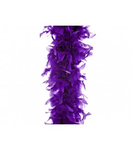 Boa violet