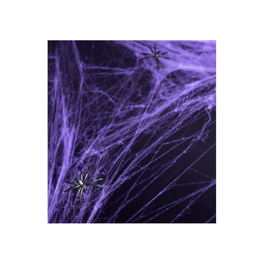Lila  Halloween-Spinnennetz