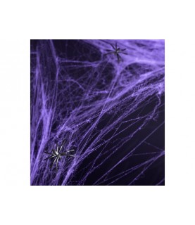 Purple Halloween Spider Web