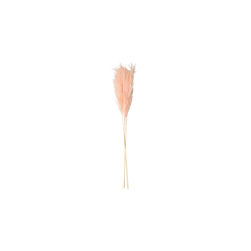 3 Pink Pampa Branches 80cm