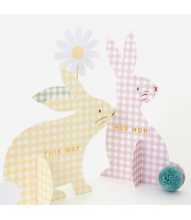 Gingham Bunnies Egg Hunt Kit Décos Vichy pour Chasse aux œufs de Pâques Dekorationen im Vichy-Muster für die Ostereiersuche