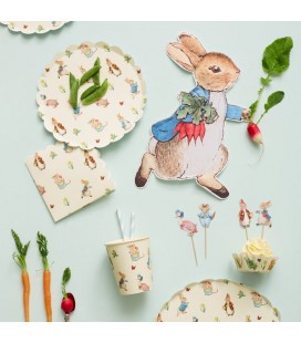 Peter Rabbit Shaped Plates