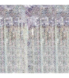 Holographic Foil Fringe Party Curtain