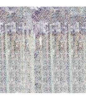 Rideau de Fête à Franges Holographique