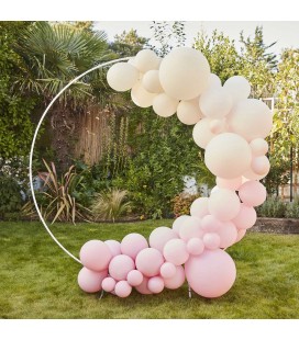 Nude and Pink Balloon Arch Kit)