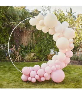 Nude and Pink Balloon Arch Kit)