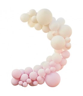 Nude and Pink Balloon Arch Kit)