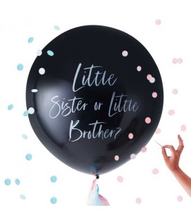 1 Gender Reveal Balloon Kit Little Sister or Little Brother