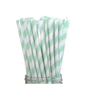 24 Mint Green Striped Paper Straws