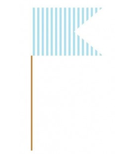 Baby Blue Flag Picks
