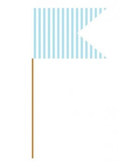 Baby Blue Flag Picks