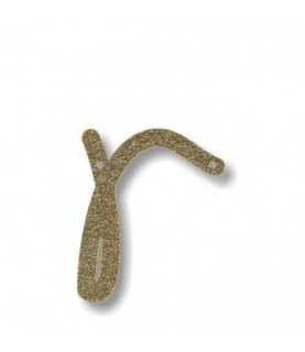 Acrylic Gold Glitter Letter R