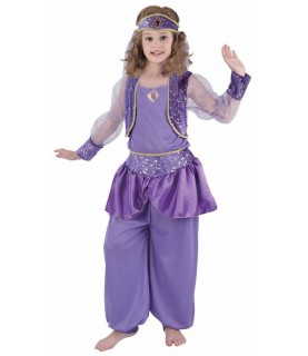 Oriental Dancer Costume