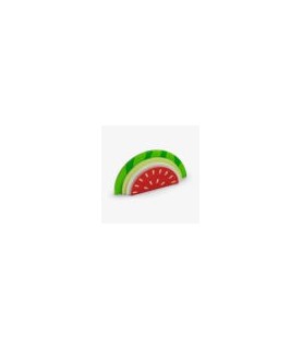 Sticky Notes Watermelon
