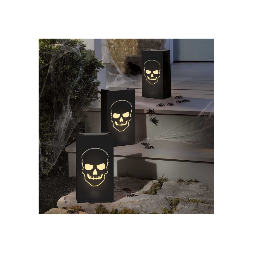 Luminary skull bags Boneyard paper