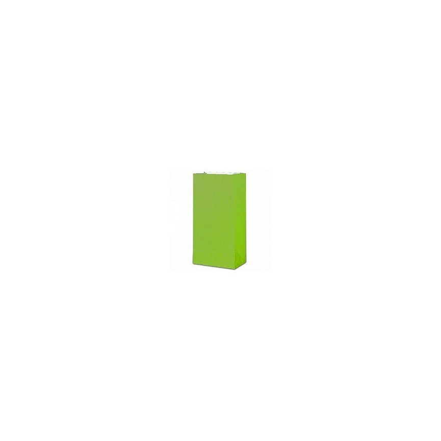 12 Lime Paper Party Bags