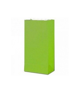 12 Lime Paper Party Bags