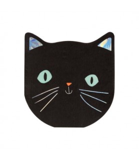 Small Car Napkins