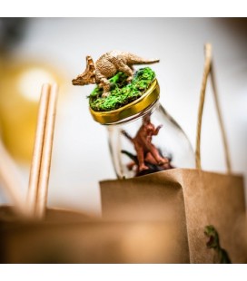 5 Gold Dinosaur Decorations