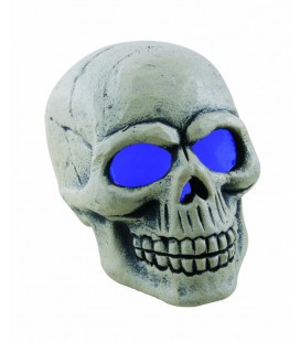 Luminous Skull