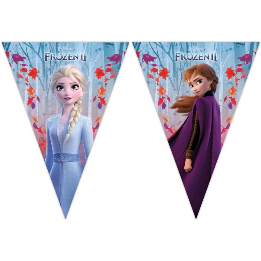 Guirlande Fanions La Reine des Neiges 2