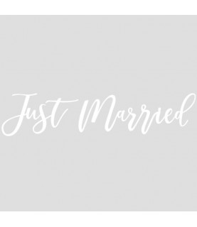 Just Married Car Sticker