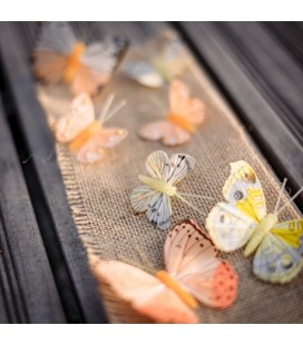 10 Assorted Butterflies Yellow/Orange