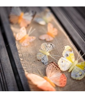 10 Assorted Butterflies Yellow/Orange