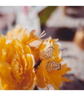 10 Assorted Butterflies Yellow/Orange