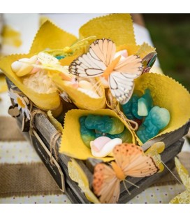 10 Assorted Butterflies Yellow/Orange