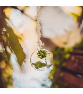 Glass Open Ball 8cm
