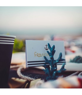2 Blue Coral Place Card Holder