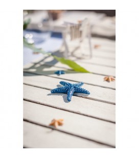 1 Blue Starfish