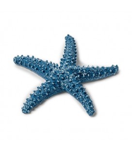1 Blue Starfish