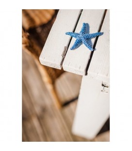1 Blue Starfish