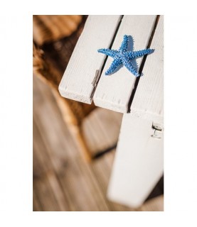 1 Blue Starfish