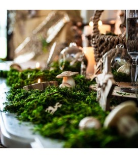 Semi Dry Natural Moss 50g